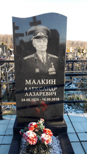 МАЛКИН Александр Лазаревич