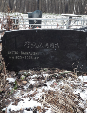 ФАДЕЕВ Виктор Васильевич